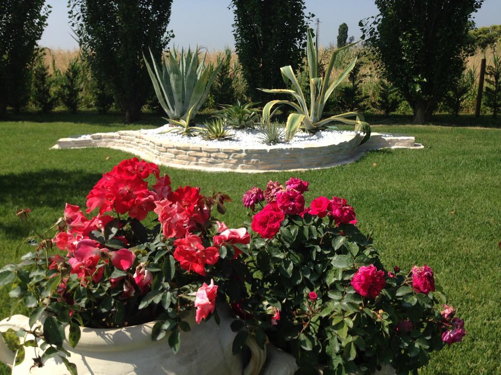 Hotel Bussana Porto Tolle Luaran gambar