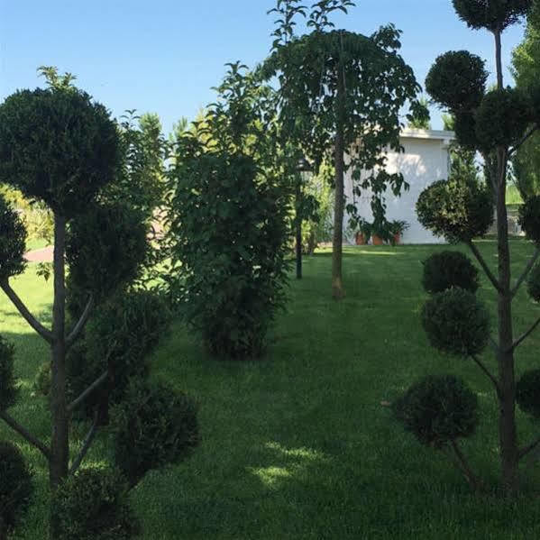 Hotel Bussana Porto Tolle Luaran gambar